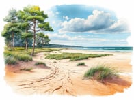 Idyllic beaches, clear air, and maritime atmosphere: The beauty of the Baltic Sea towns