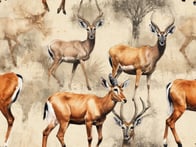 Discover the fascinating world of antelopes in South Africa